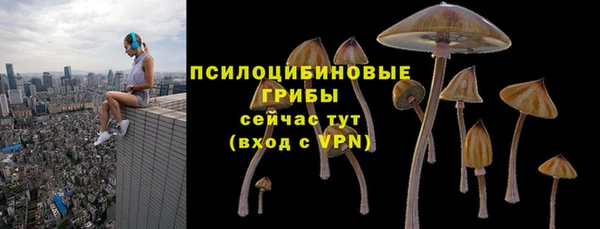 дурь Абинск