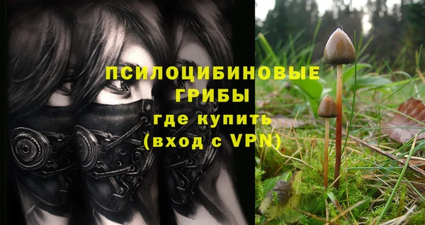 дурь Абинск