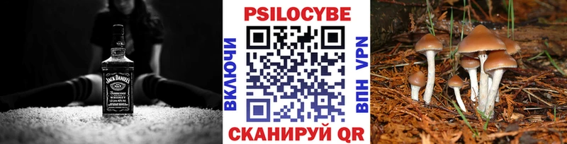 Псилоцибиновые грибы Psilocybine cubensis  магазин    Азнакаево 