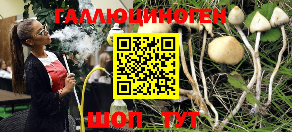Каннабис  ГЕРОИН  Кокаин  Азнакаево  ЭКСТАЗИ  Вейп ТГК  МЕФ кристаллы  ГАШ  Магазины продажи наркотиков  Вход с VPN  КОКАИН  МДМА  МЕТ 