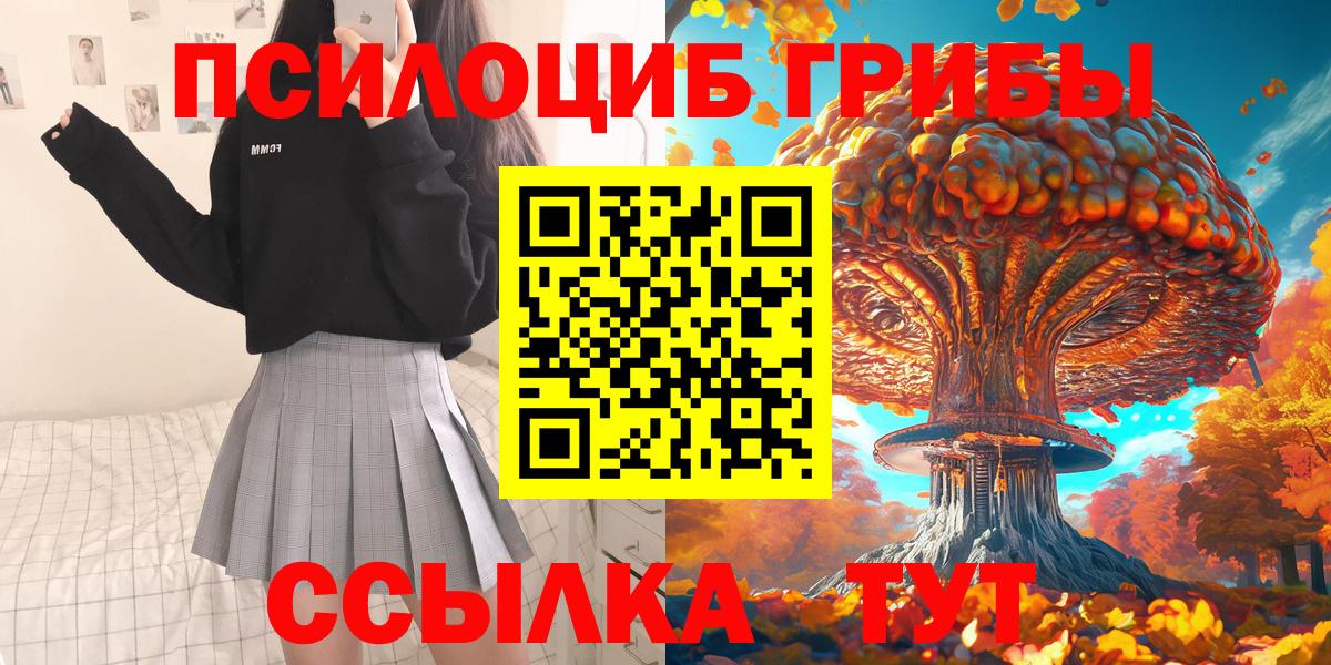 Азнакаево  Псилоцибиновые грибы Psilocybe  Вход с VPN  Псилоцибиновые грибы Psilocybe 